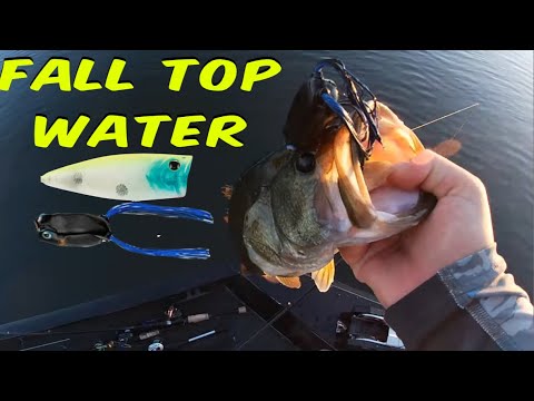 California Delta Bass Fishing.(FOR THE CULTURE)