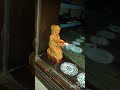 Diwali 2018 #beautiful #diwali #lordkrishna #festivevibes #festiveseason #lighting #light #bakthi
