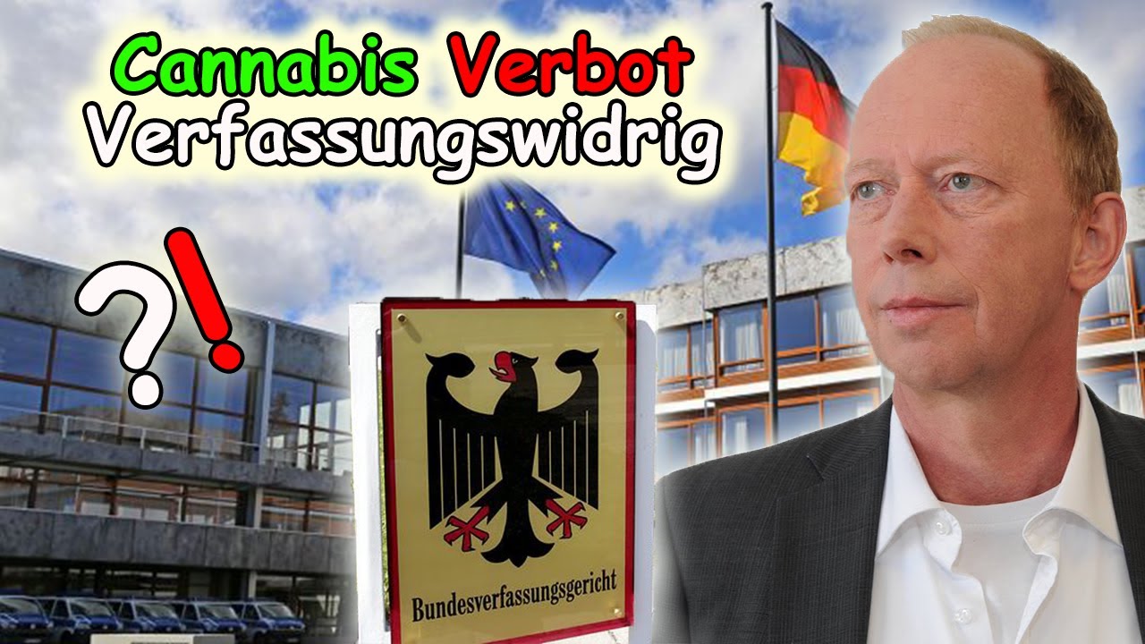 Richter für Legalisierung - Modellprojekt in Deutschland ?