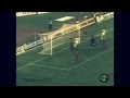 Javier Zanetti - Top 5 Goals [HD & 3D] の動画、YouTube動画。