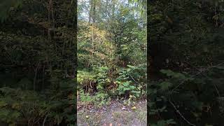 IMG 7165
