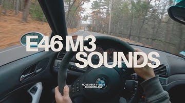 BMW E46 M3 Drive | Just S54 sounds 🐝 🔊