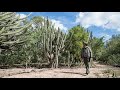 Parque Nacional El Impenetrable - Chaco Argentina