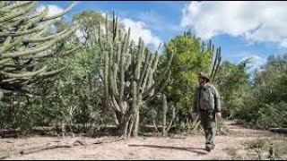 Parque Nacional El Impenetrable - Chaco Argentina