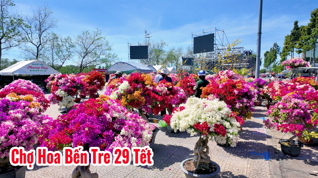 Chợ Hoa Bến Tre 29 Tết|Người dân mua hoa tết giảm giá ngày cuối