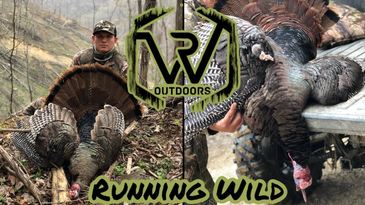 Tennessee Turkey Hunting Public Mountain Bird 2018 YouTube