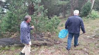 Yaylada Mantar Arıyoruz.