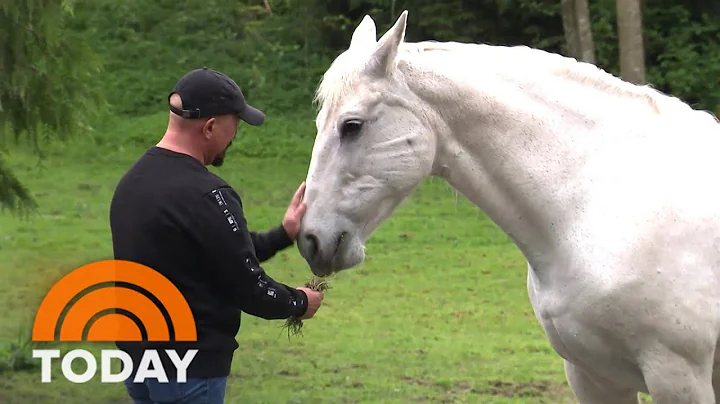 Man And Horse Form Strong Bond After ‘Horrible’ Accident - DayDayNews