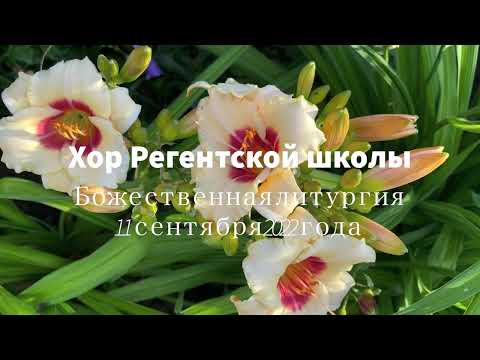 Хор Регентской школы Литургия 11 сентября 2022 года Хор Регентской школы Литургия 11 сентября 2022 года