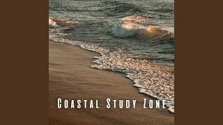 Serene Study Session