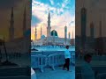 barhi umeed ha SARKAR/ naat short video