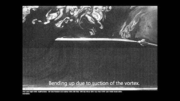 Vortex ring interacts with a thin flexible beam