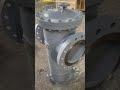 Video Image