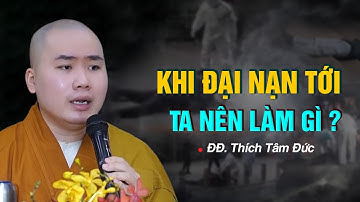Nếu gặp phải ĐẠI NẠN thì chúng ta nên làm gì ?  ĐĐ. Thích Tâm Đức (03.09.2021)