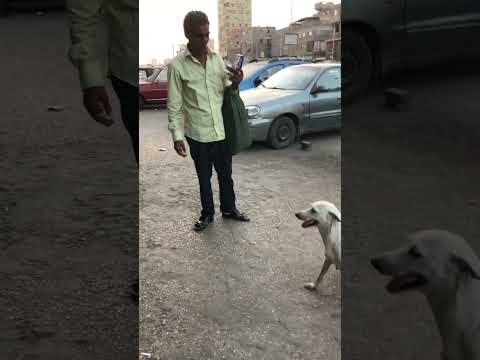 شربت سجارة بوني
