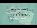 Conceptos Clave de la Constitución