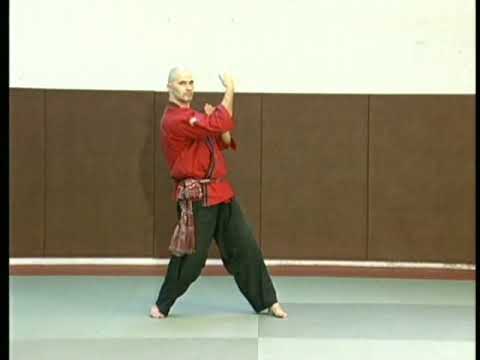  6 1Travail des LANKA  Franck Ropers Pencak  Silat  