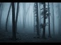 Scary Stories | True Scary Horror Stories | Reddit Let's Not Meet And Others