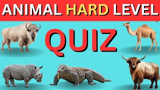 Wild Wisdom | Interactive Animal General Knowledge Quiz for Kids - Test Now !