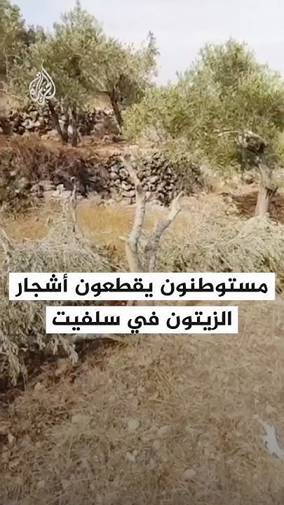          
 - نشر قبل 4 ساعة