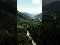 Relaxing Drone Nature View 🌿 Forest &amp;