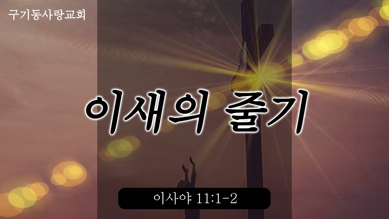 11 1 2 22 10 17 11 00 YouTube 11-1-2-22-10-17-11-00-youtube