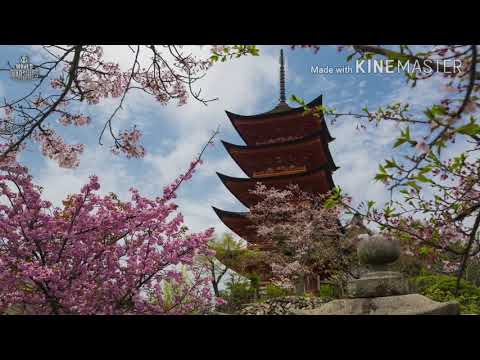 凛として咲く花の如く【wt×wows MAD】