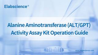 Alanine Aminotransferase (ALT/GPT) Activity Assay Kit Operation Guide
