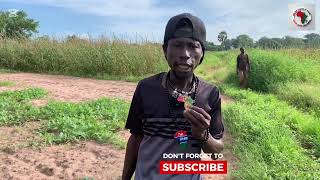 Gambia’s Secret Power The Farmlands of Niumi Jokadu That Could Change Black Economic History