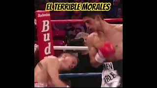 El Terrible de Tijuana #boxing #boxeo #boxeomexicano #boxeomx