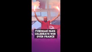 Tunisian fans celebrate win over France despite World Cup exit screenshot 5