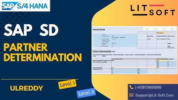 SAP SD Partner Determination | SAP SD BP I SAP S/4 HANA Business Partners | SAP BP Configuration