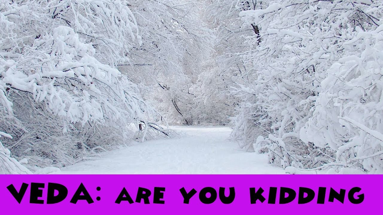 VEDA // I HATE SNOW.