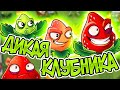 PvZ 2. ЭКСКЛЮЗИВНОЕ РАСТЕНИЕ: ВЗРЫВ-КЛУБНИКА!