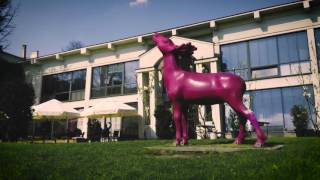 Kino na Granicy / Kino na Hranici | Cieszyn / Český Těšín  - Case Study (Kultura) SerwerSMS.pl