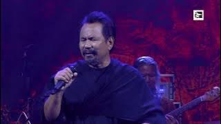 M.NASIR - RAJAWALI TERBANG TINGGI - (LIVE DEMI MASA M.NASIR)