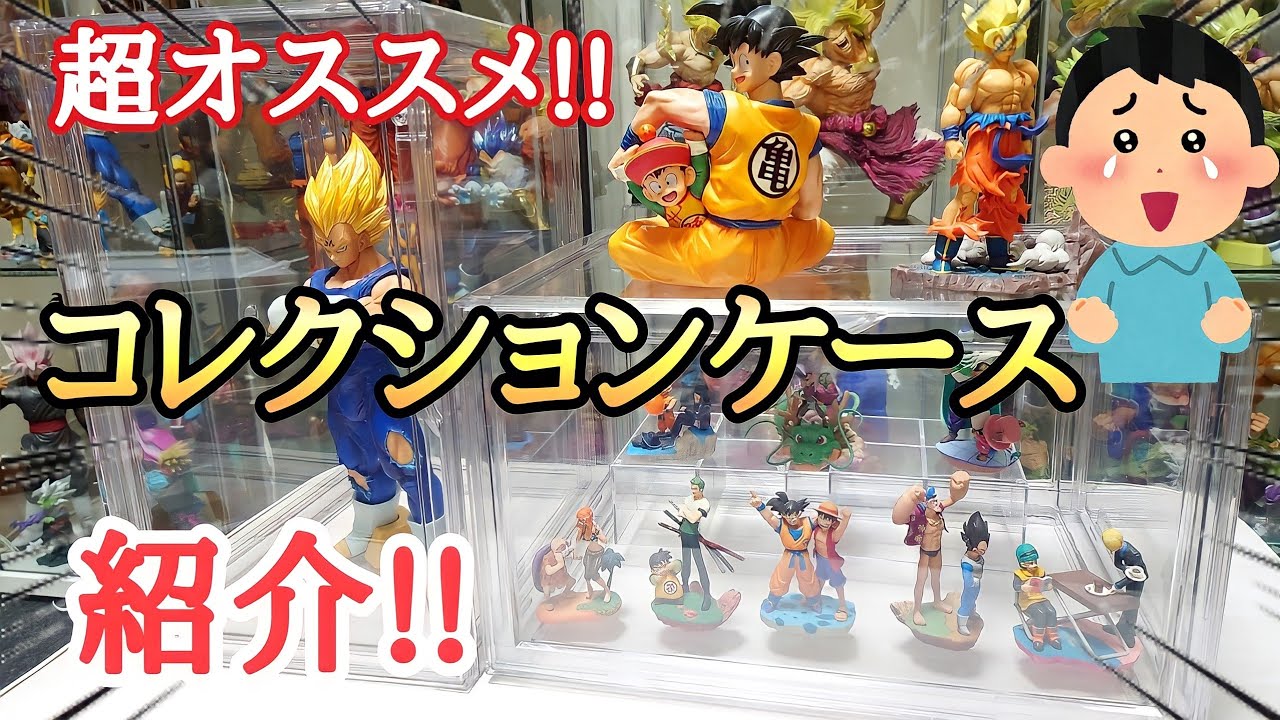 超オススメ】コスパも最高のコレクションケースを紹介!!とおちゃん
