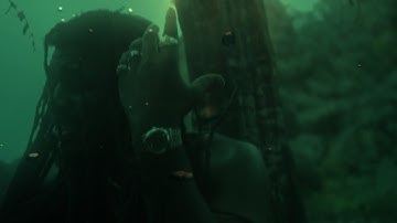 D.O.L.O. -  Flood (Official Music Video)