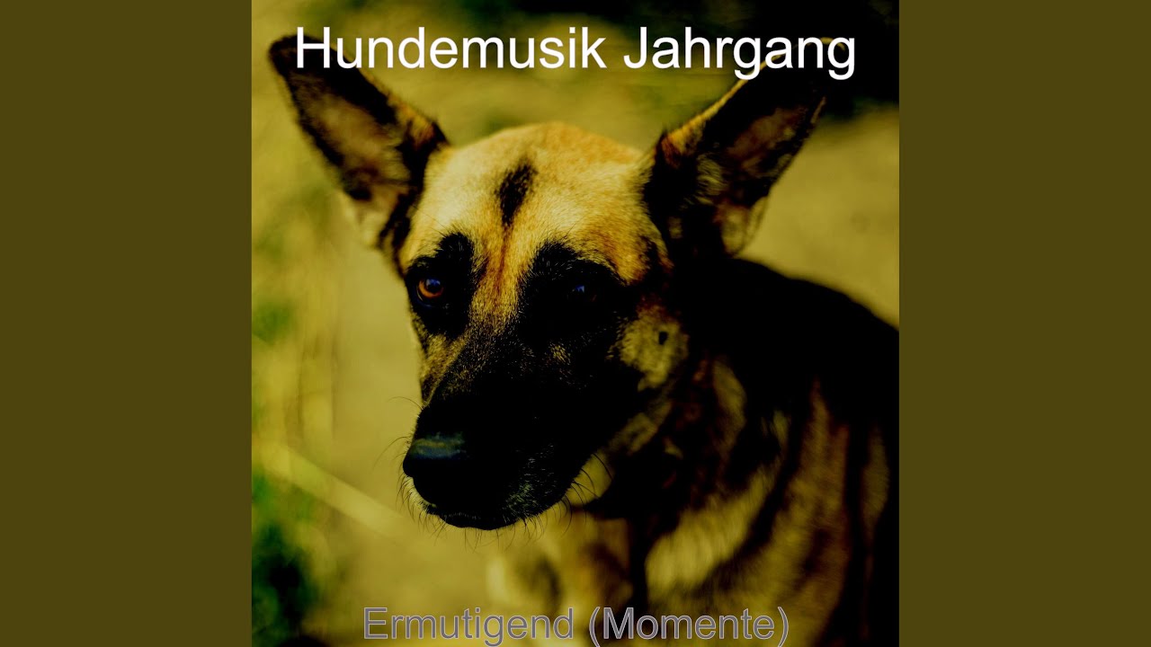 Deutsche Hundemusik - YouTube