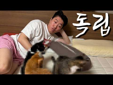 Mr. Song Ha-bin, the Gopalnam who started living on his own without a cat