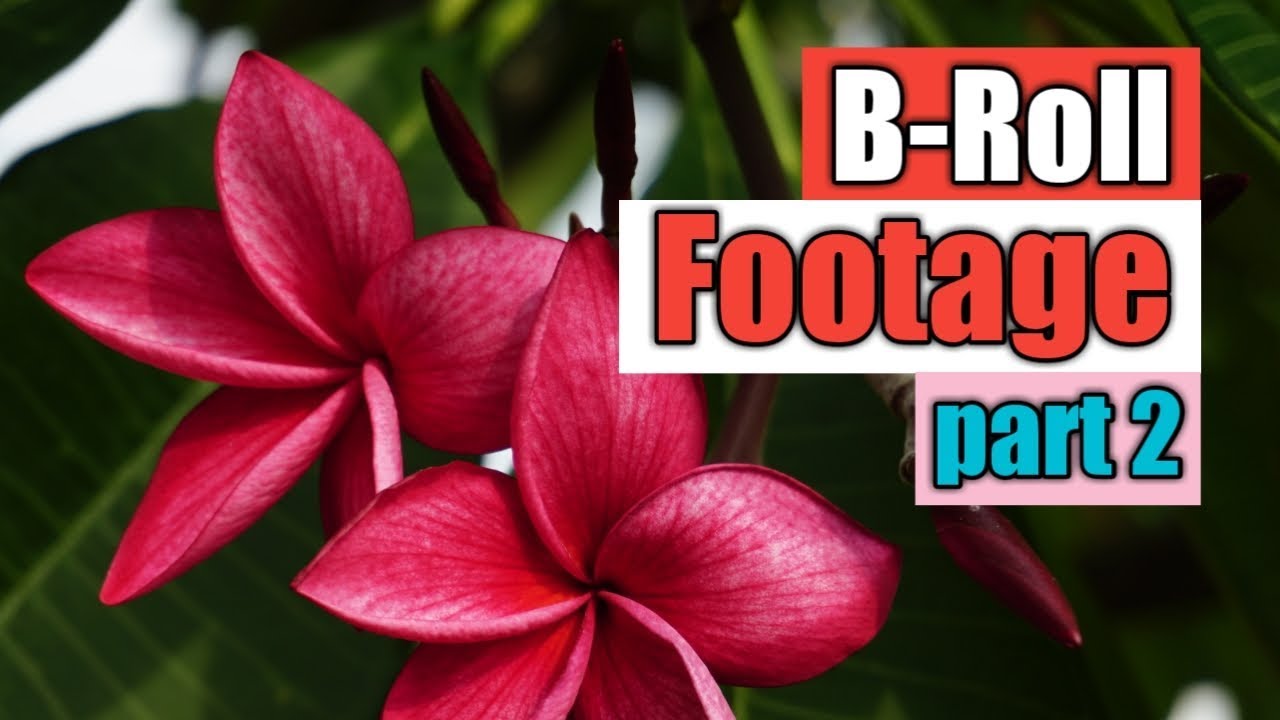 B-Roll Footage part 2 | Sony A5100 vlog