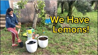 Renovating Our Abandoned Farmhouse in Central Portugal / The work progresses