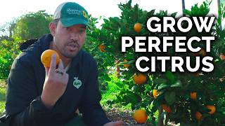 How to Plant, Grow, & Care for Citrus Trees (COMPLETE GUIDE) by Epic Gardening 180,848 views 1 month ago 18 minutes