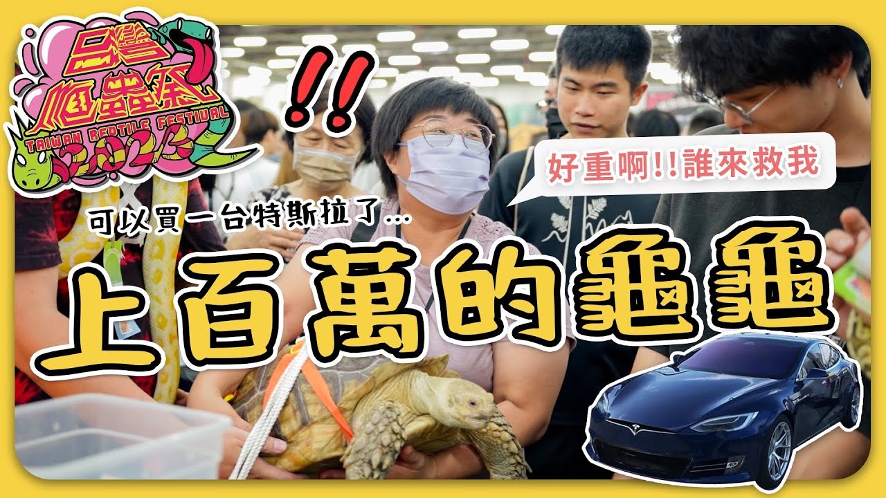 要提早３小時排隊才能進去！！最盛大的台中爬蟲展 The biggest REPTILE festival in Taiwan 台灣爬蟲祭