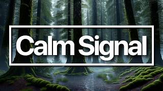 Calm Signal Music for Mental Reset, Deep Focus, Peaceful Study Flow and Clear Thinking 🧠 screenshot 4