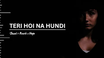 TERI HOI NA HUNDI : Slowed + Reverb | NINJA | SAD PUNJABI SONG | Soulmate Feels