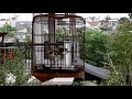 Chòe bổi lần đầu ra giàn
