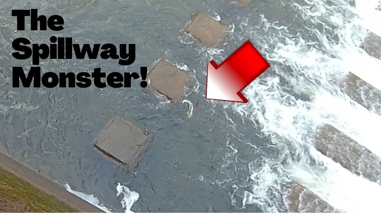 Walleye, Pike, and the Biggest Trout of My Life?