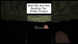 Well We Are Not Beating The Ender Drgon