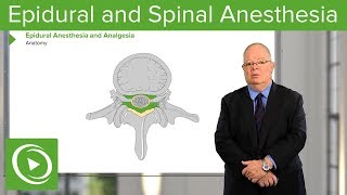 Neuraxial Blocks: Epidural and Spinal Anesthesia & Analgesia – Anesthesia | Lecturio screenshot 1